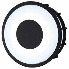 Накладной светильник l-arte luce telma l78056.31